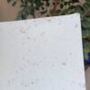 Hojas de Papel Reciclado