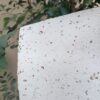 Hojas de Papel Reciclado
