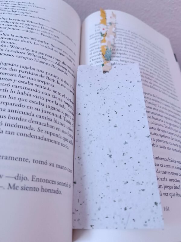 1721088150085 (1) Separador de Libros